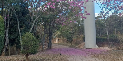 SEJA BEM VINDO